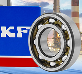 eric-bearing-skf01