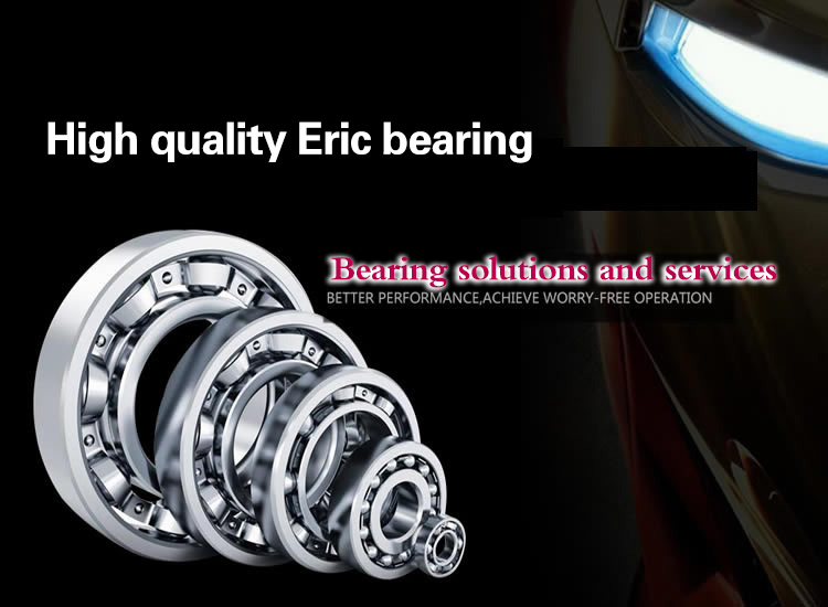 eric-skf-bearing-wap