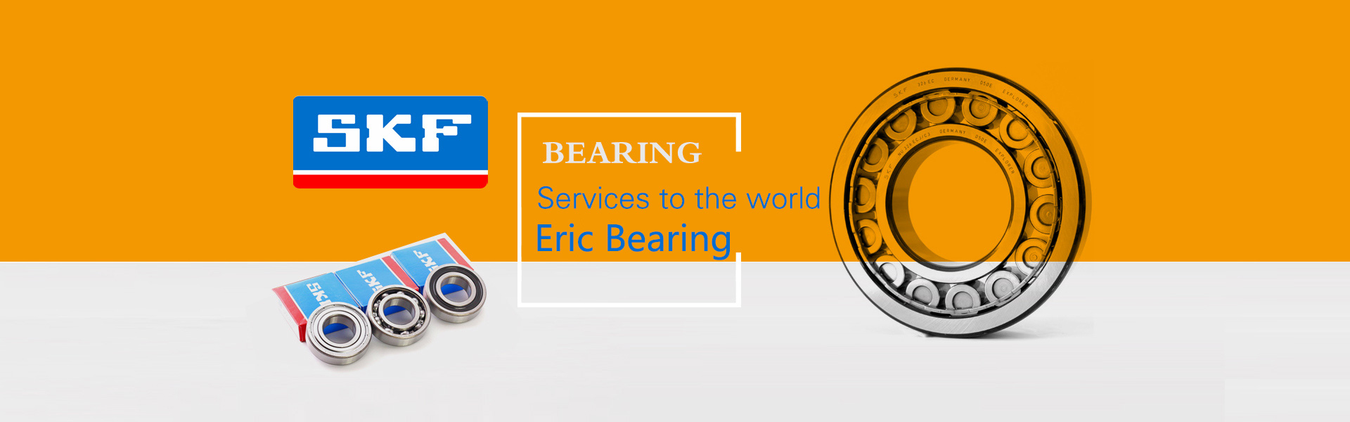 eric-skf-bearing