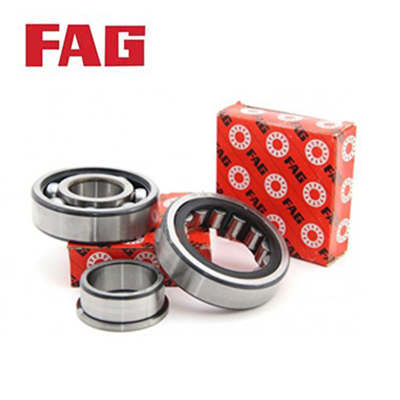 FAG Bearing